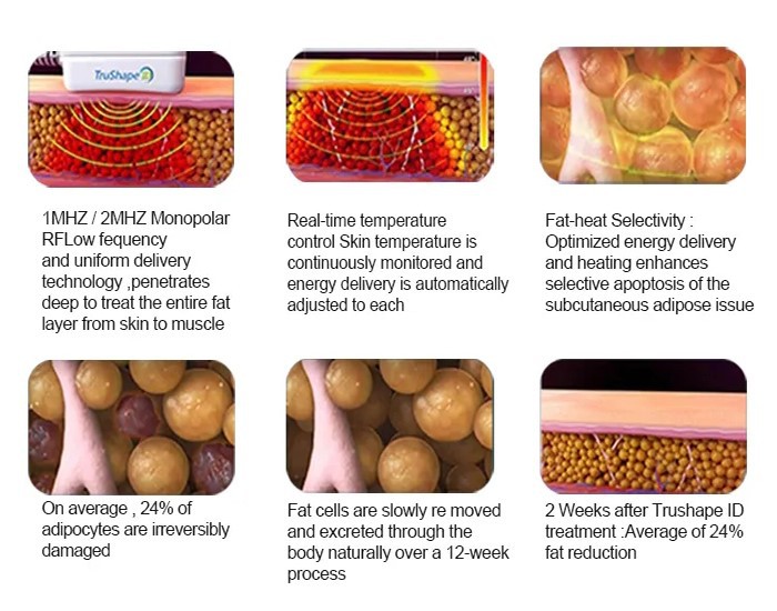 product-700-550 product-700-550